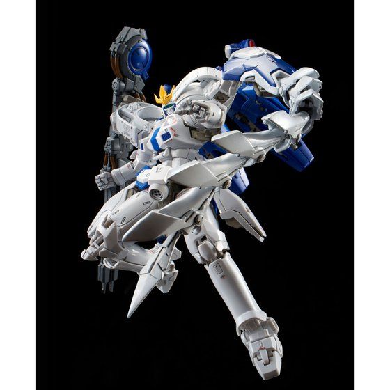 RG 1/144 TALLGEESE III