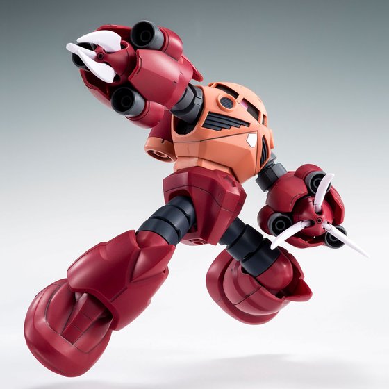 HG 1/144 AMAZING Z’GOK (box dent)