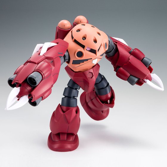 HG 1/144 AMAZING Z’GOK (box dent)