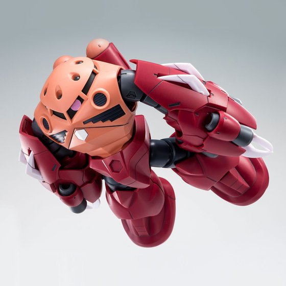 HG 1/144 AMAZING Z’GOK (box dent)