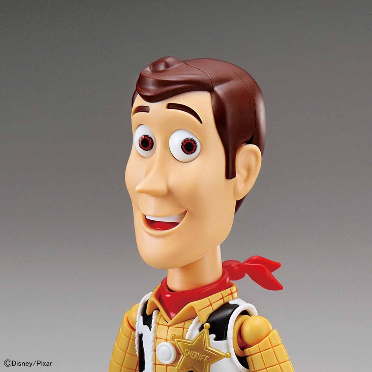 Cinema-rise Standard Woody
