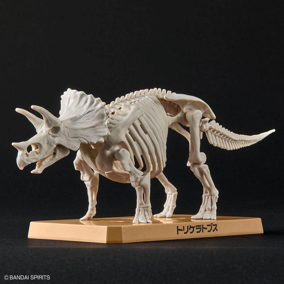 PLANNOSAURUS TRICERATOPS