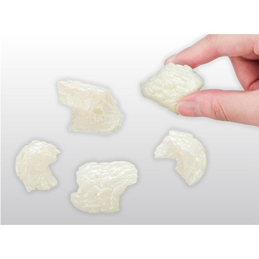 Puzzle of Dismantled Tuna Sushi