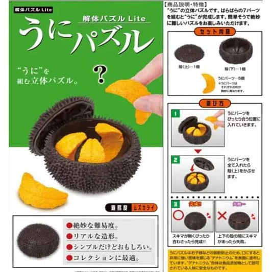 Puzzle of Dismantled Sea Urchin