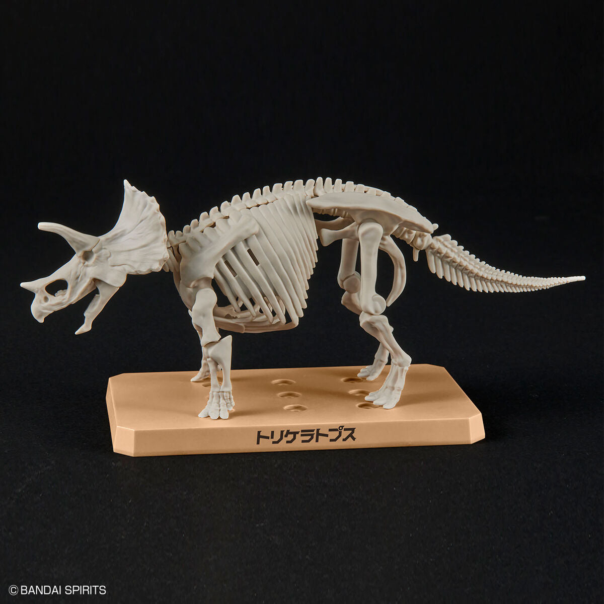 PLANNOSAURUS TRICERATOPS