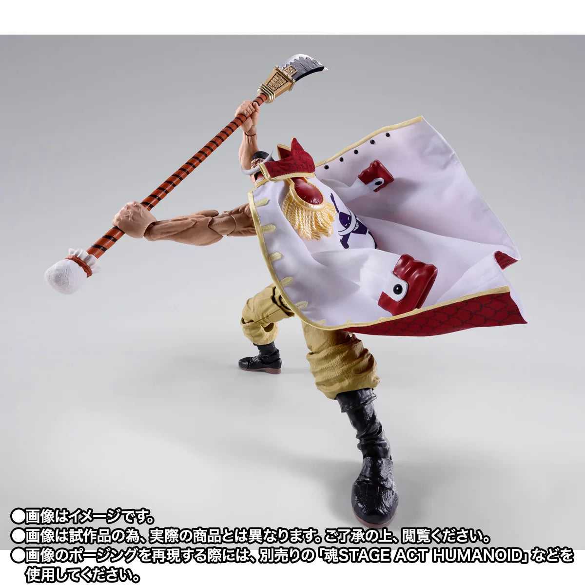 S.H.Figuarts EDWARD.NEWGATE -MARINEFORD-