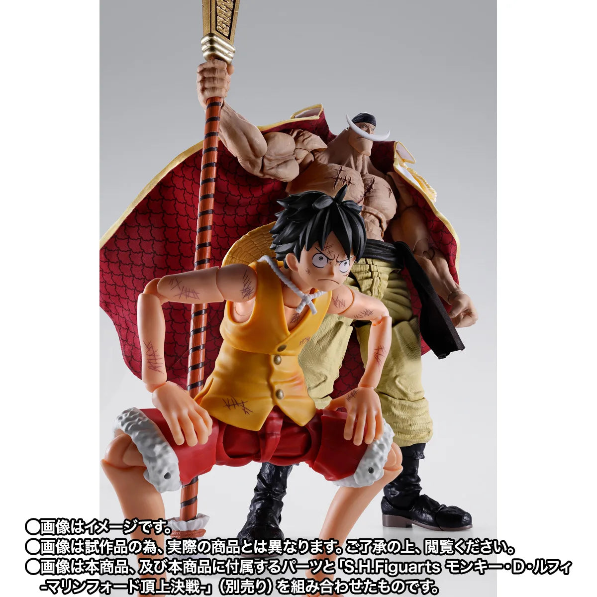 S.H.Figuarts EDWARD.NEWGATE -MARINEFORD-