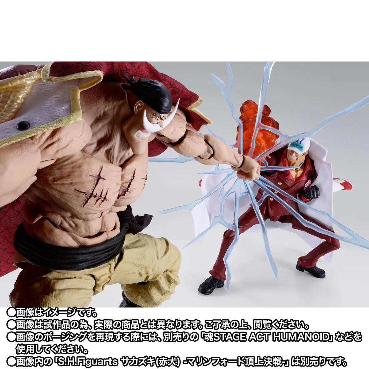 S.H.Figuarts EDWARD.NEWGATE -MARINEFORD-