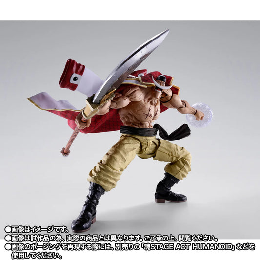 S.H.Figuarts EDWARD.NEWGATE -MARINEFORD-