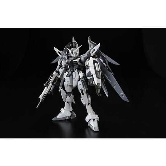 RG 1/144 DESTINY GUNDAM DEACTIVE MODE