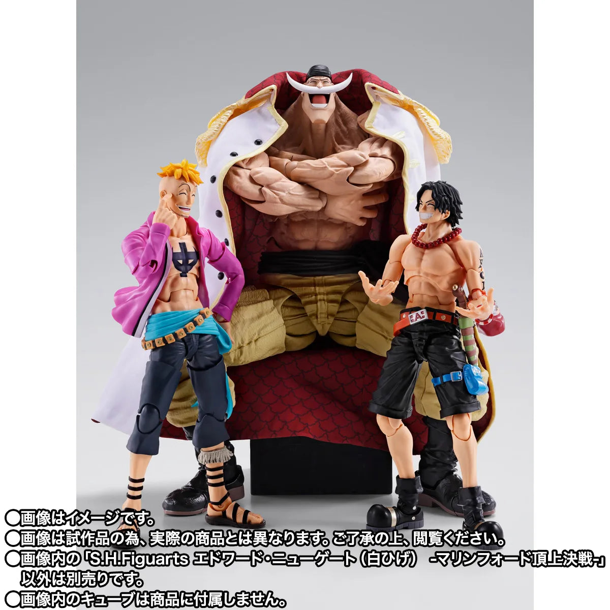 S.H.Figuarts EDWARD.NEWGATE -MARINEFORD-