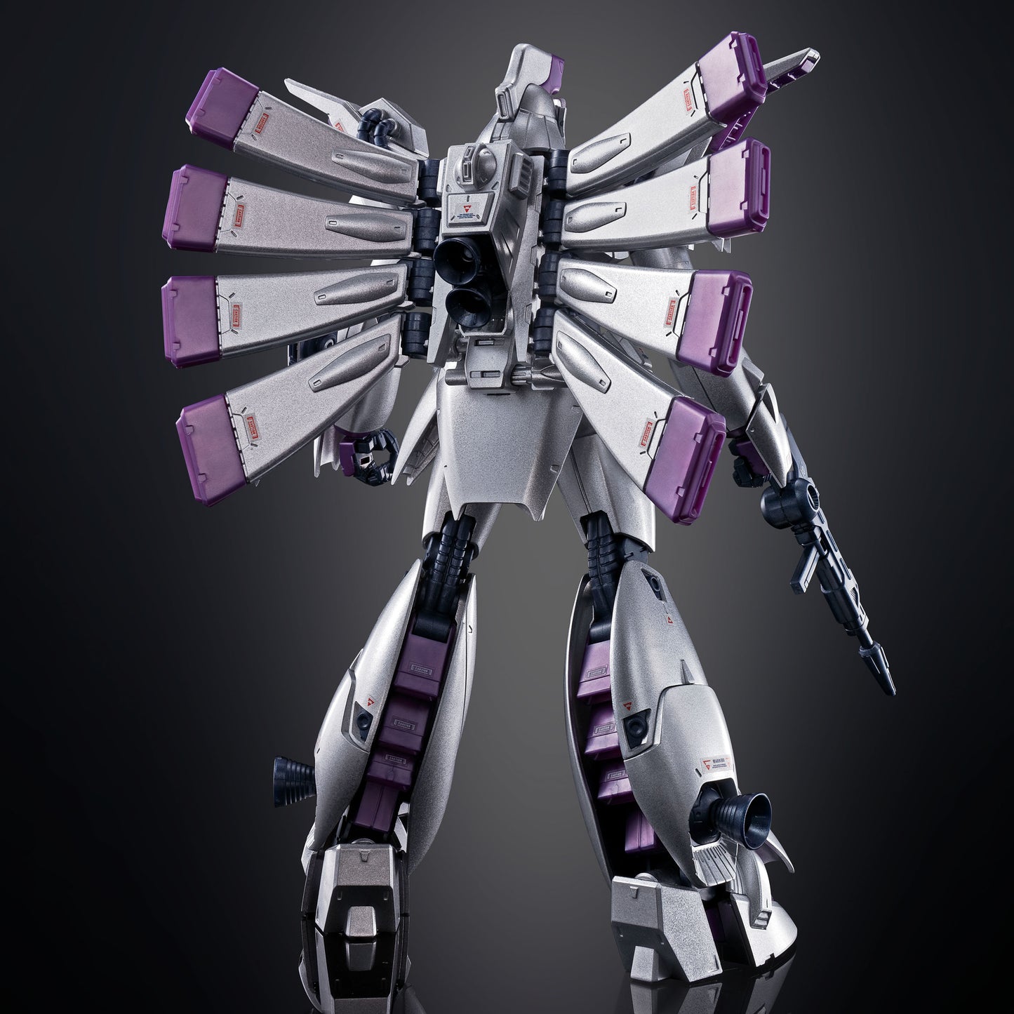 RE 1/100 VIGNA-GHINA [EXTRA FINISH]