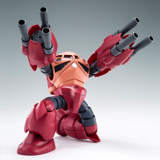 HG 1/144 AMAZING Z’GOK (box dent)