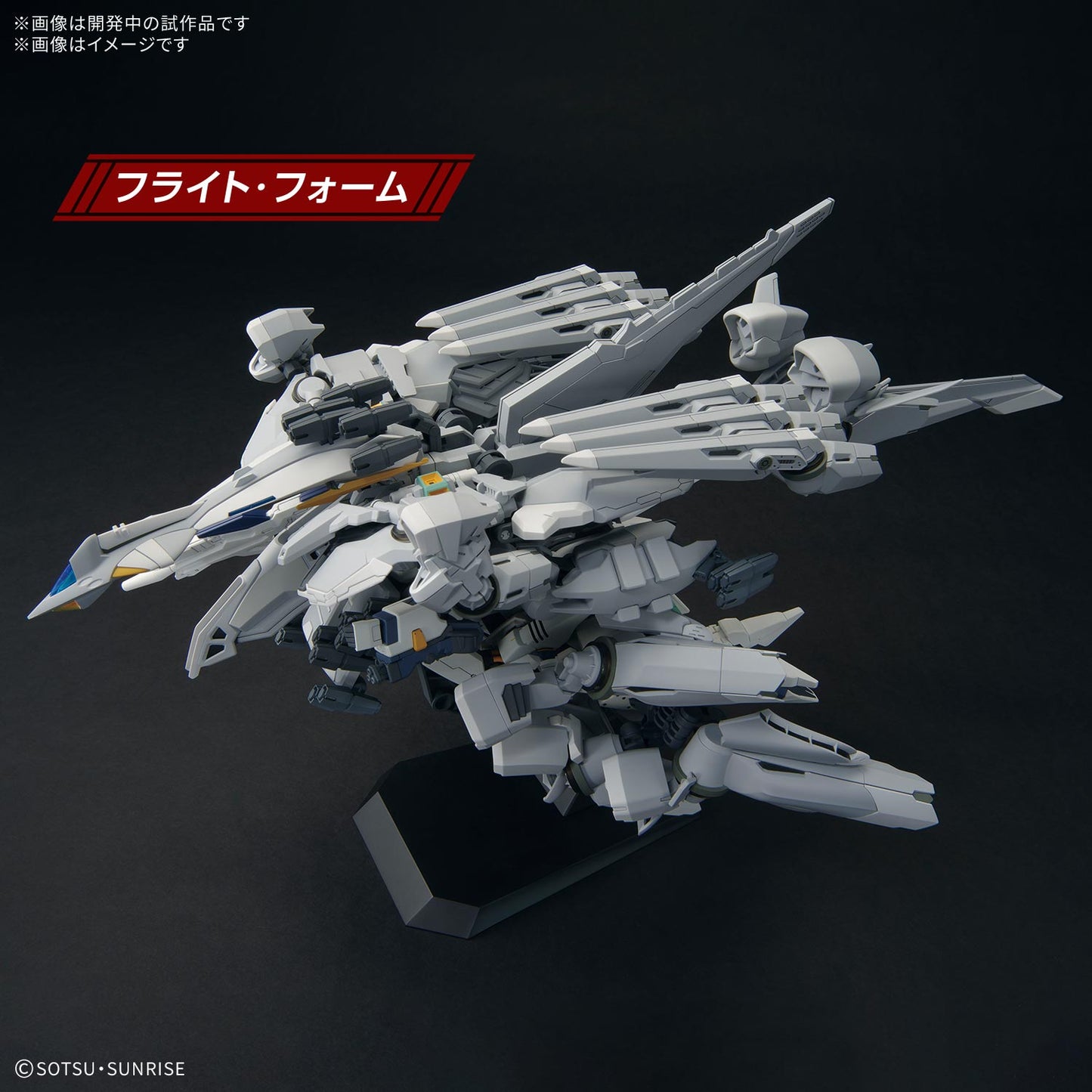 HG 1/144 ALYZEUS