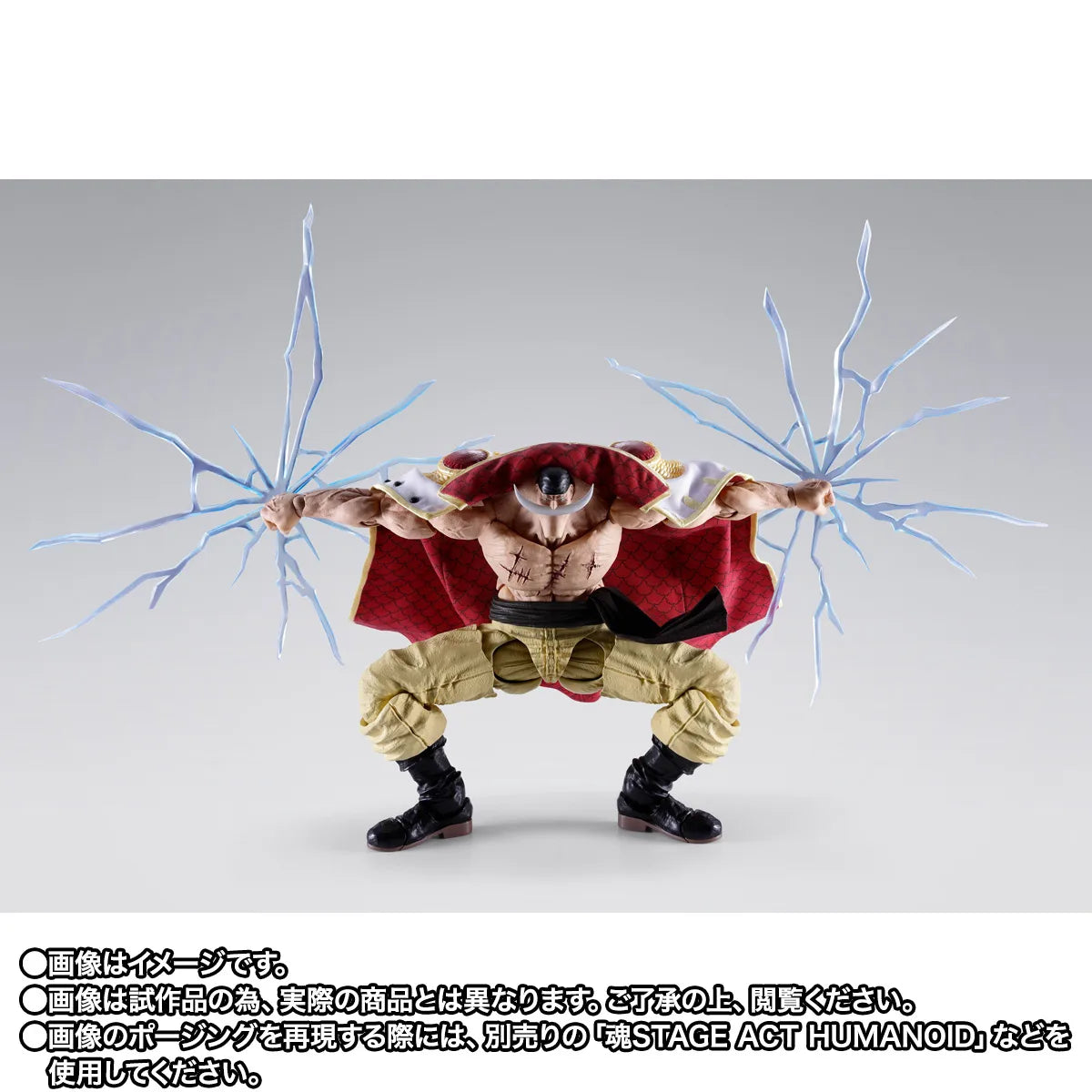 S.H.Figuarts EDWARD.NEWGATE -MARINEFORD-