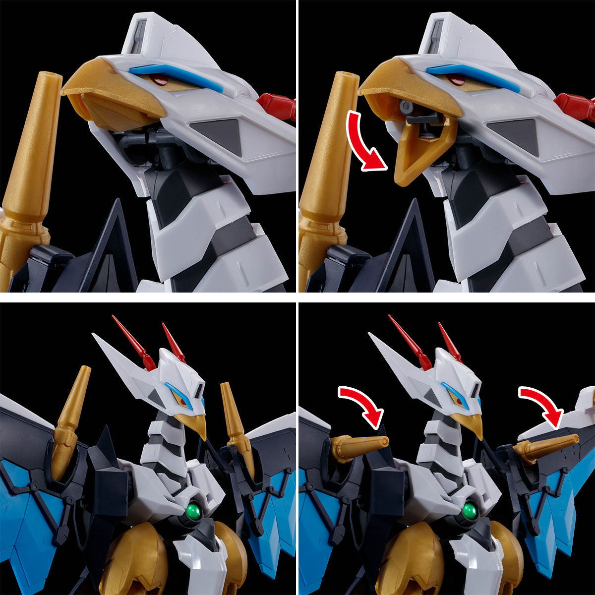 HG Amplified IMGN KUJINMARU
