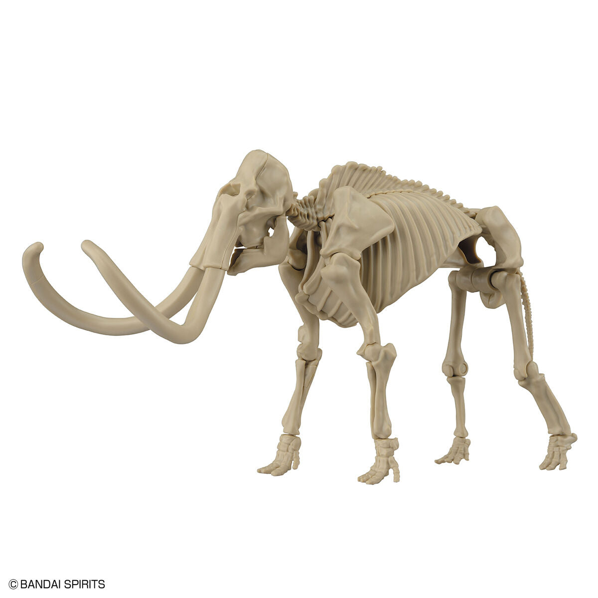 EXPLORING LAB NATURE MAMMOTH