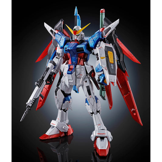 RG 1/144 DESTINY GUNDAM [TITANIUM FINISH]