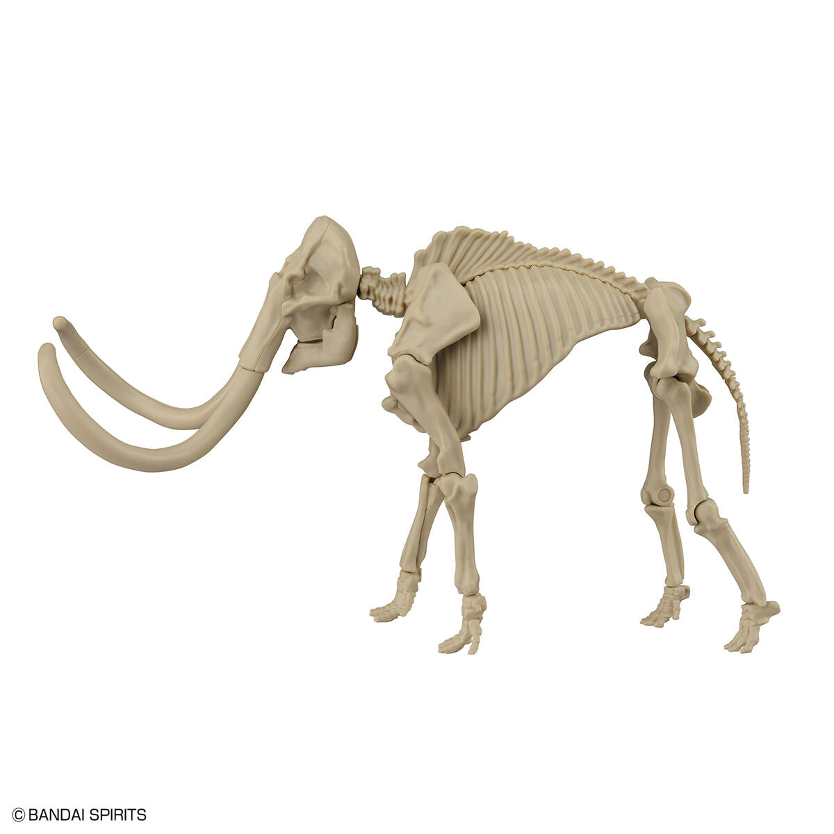 EXPLORING LAB NATURE MAMMOTH
