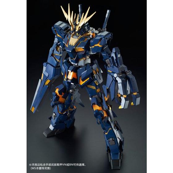 PG 1/60 EXPANSION UNIT ARMED ARMOR VN/BS