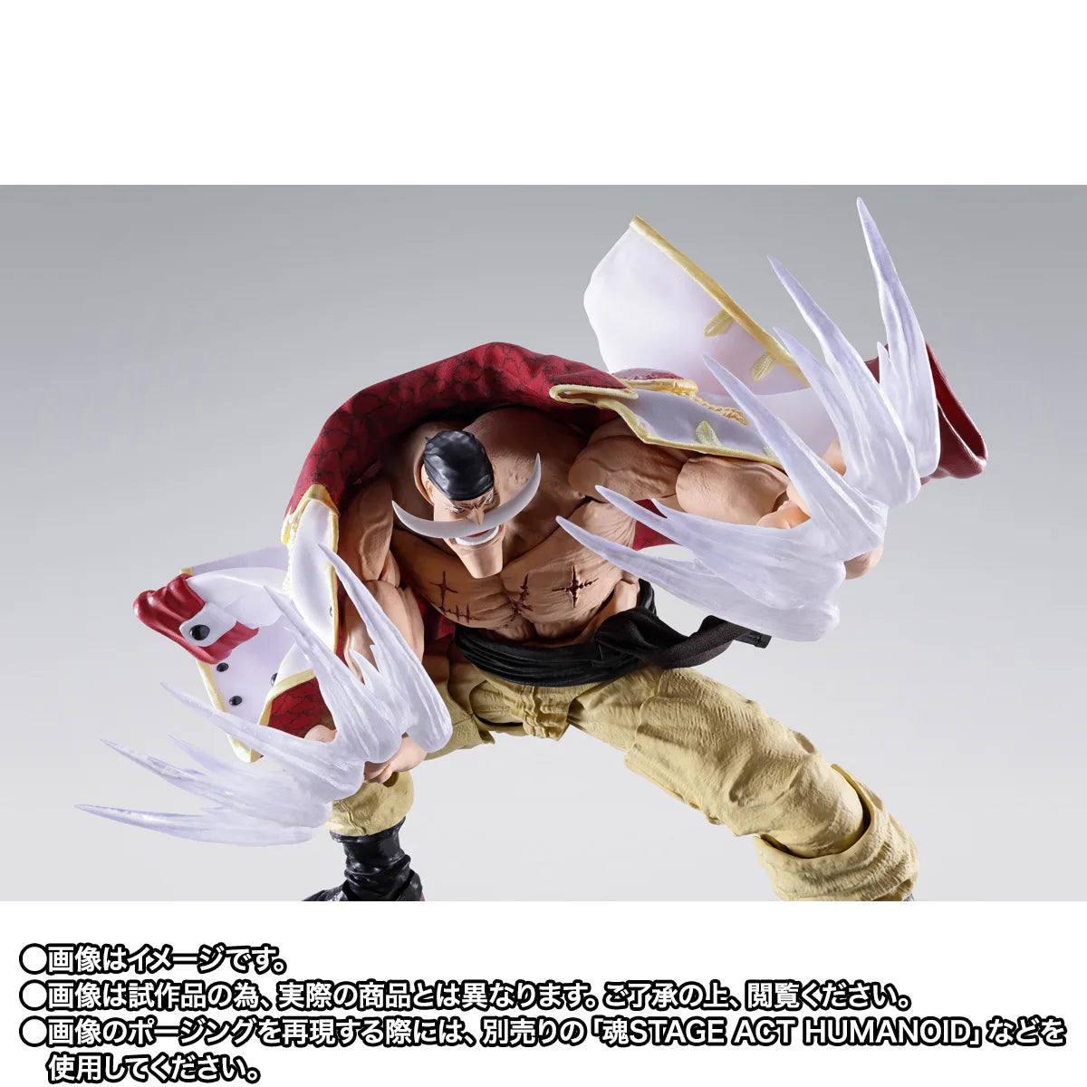 S.H.Figuarts EDWARD.NEWGATE -MARINEFORD-