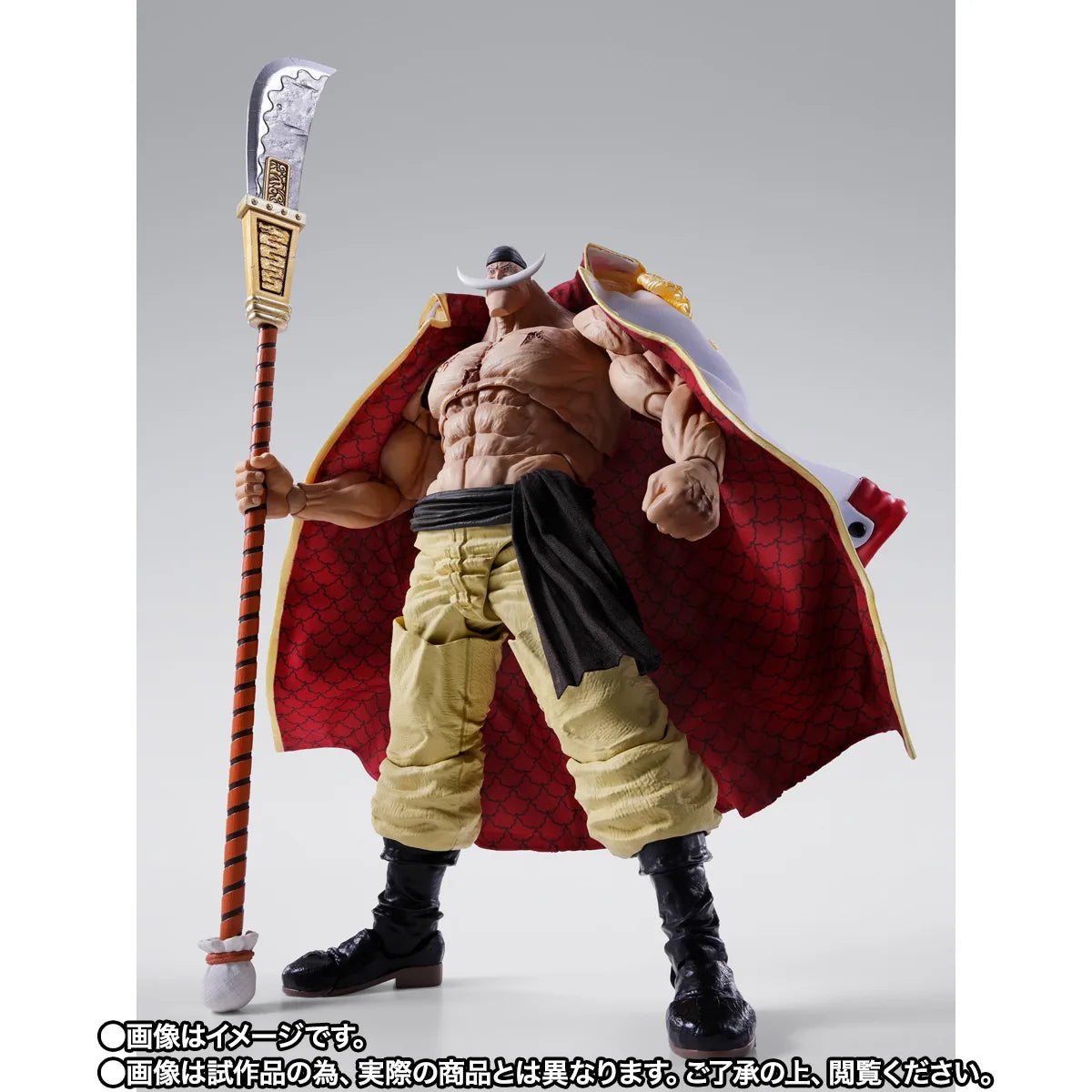 S.H.Figuarts EDWARD.NEWGATE -MARINEFORD-