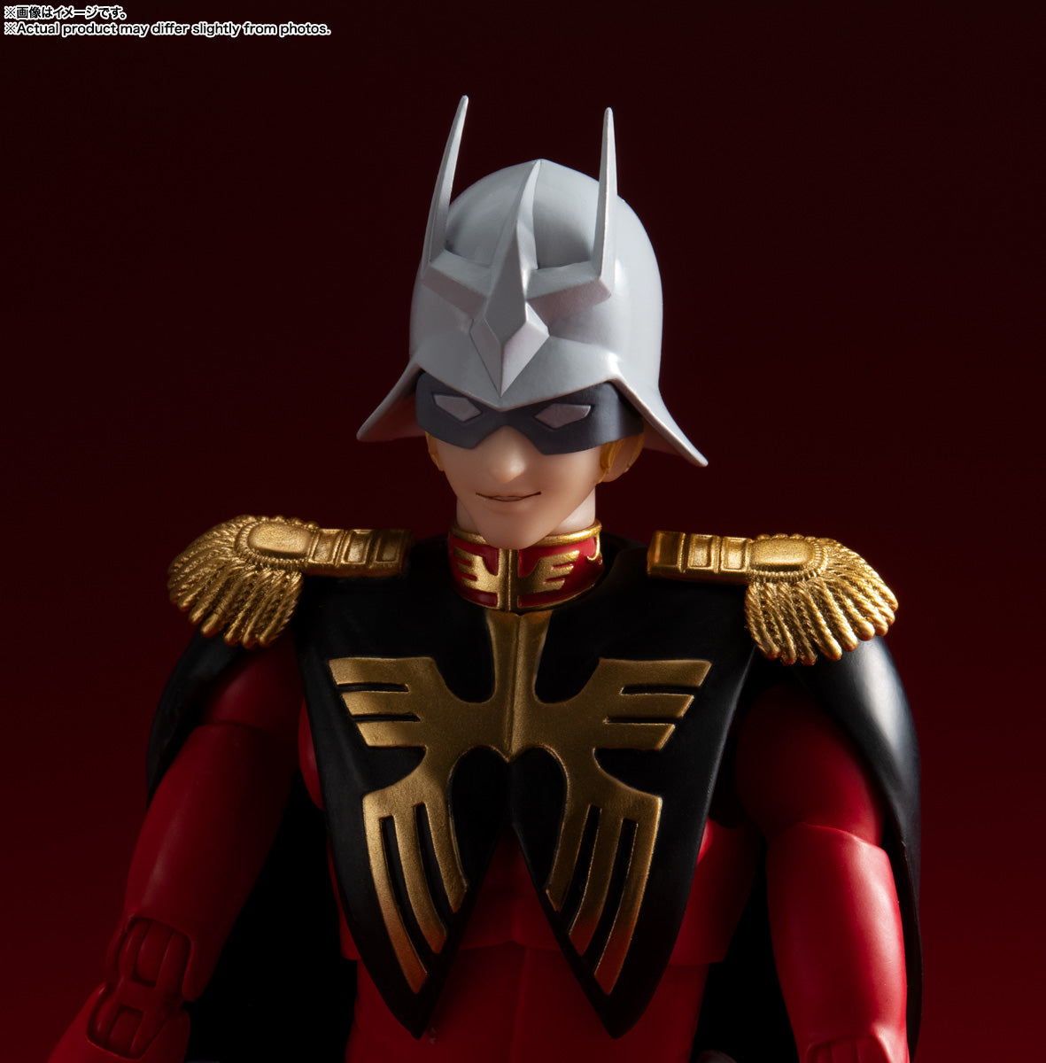 S.H.Figuarts CHAR AZNABLE