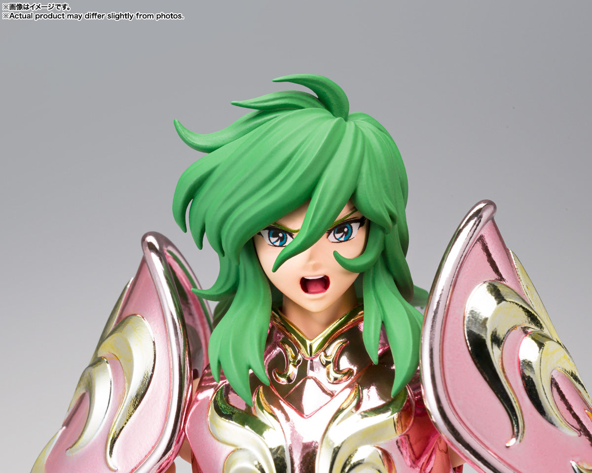 SAINT CLOTH MYTH EX ANDROMEDA SHUN【GOD CLOTH】
